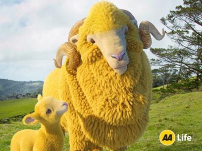 AA Funeral Cover NZ, Funeral Insurance